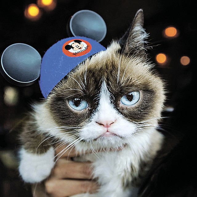 Соус Тартар. Фото: facebook.com/TheOfficialGrumpyCat