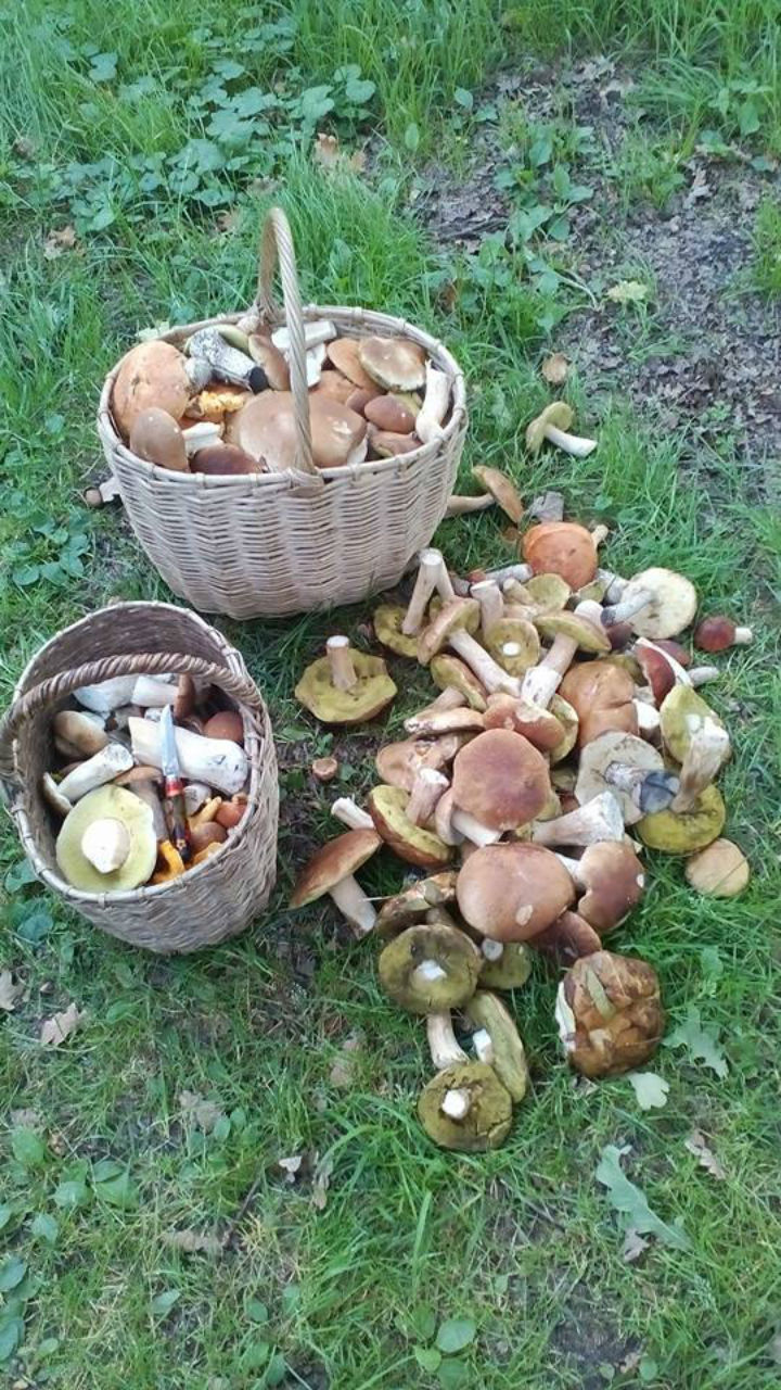 Фото: Андрей СЕРОВ. 