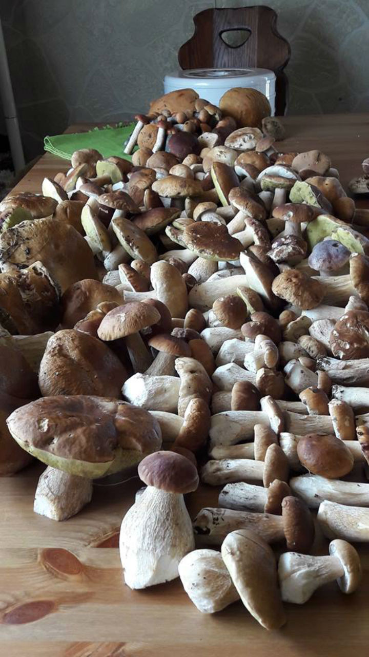 Фото: Ольга АНДРИАНУВИНА. 