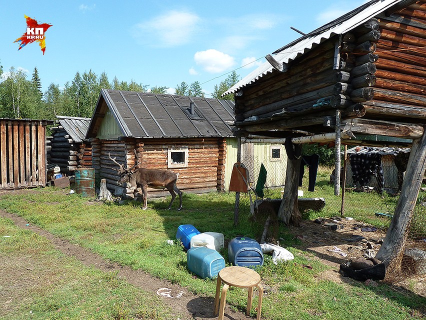 Хозяйство Самбиндаловых Фото: Николай ВАРСЕГОВ