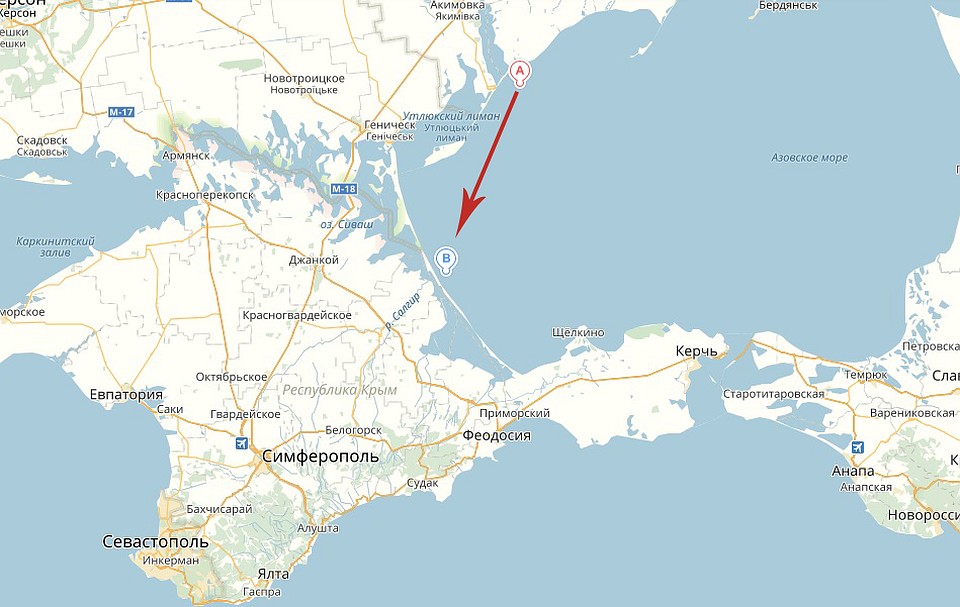 По словам специалистов, именно из точки "А" в точку "В" принесло трупы животных. Фото: Анастасия МЕДЫНЦЕВА