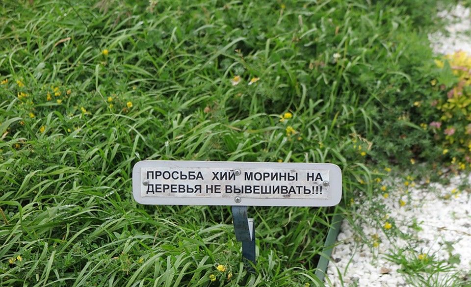 Красиво сказано... Фото: Александр МИЛКУС