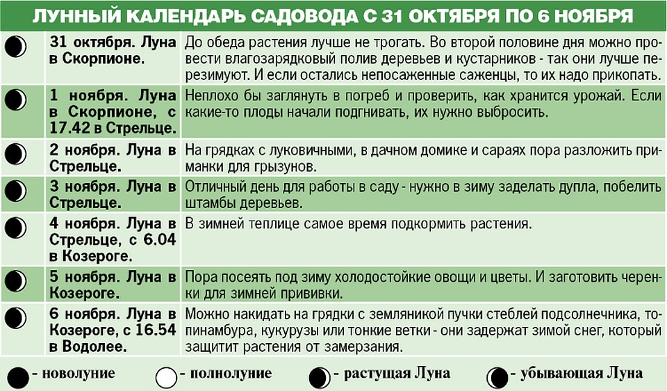 Лунный календарь