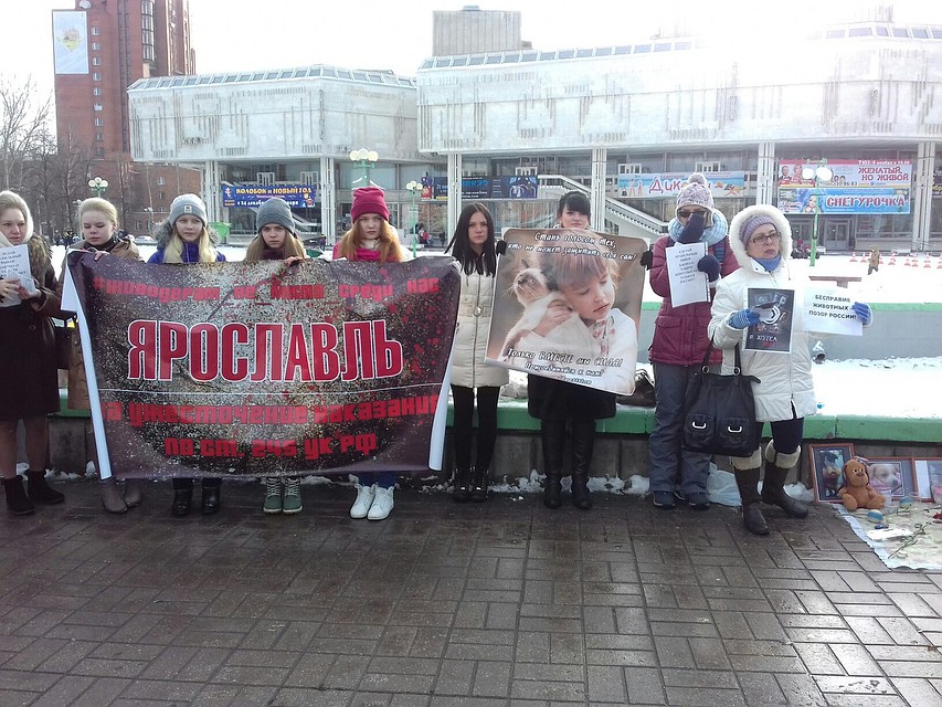 Митинг против живодеров в Ярославле. Фото: Ольга ПРОХОРОВА