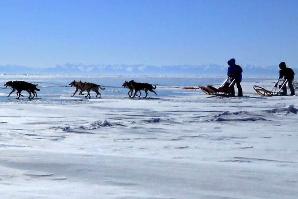 Гонка на собачьих упряжках Baikal Race. Фото: организаторов "Зимниады-2017"