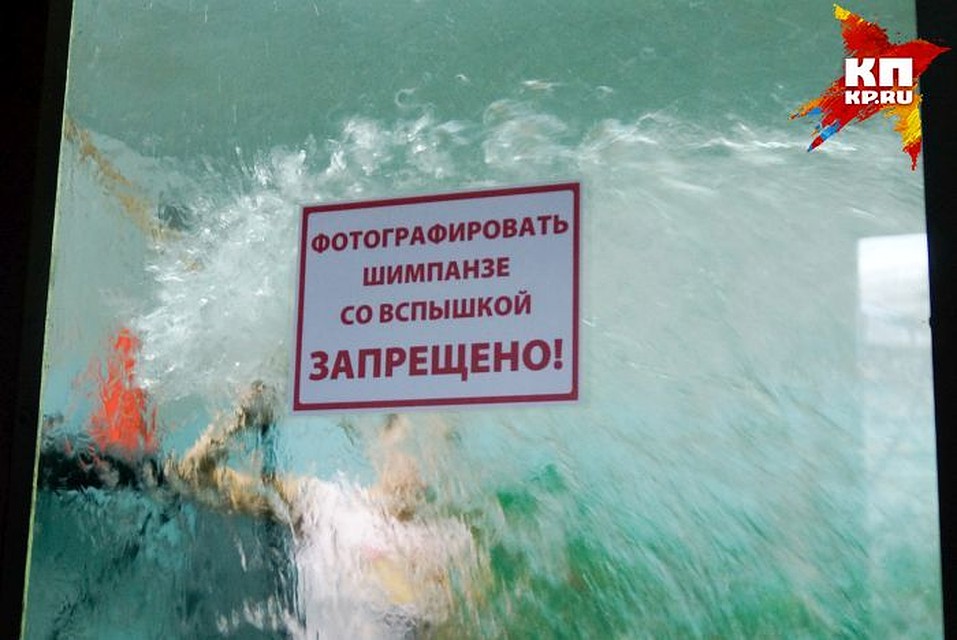 Рабочий день длится с 08.00 до 17.00. Фото: Алексей БУЛАТОВ