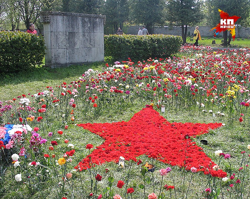 Алая звезда из гвоздик. Фото: Галина САПОЖНИКОВА