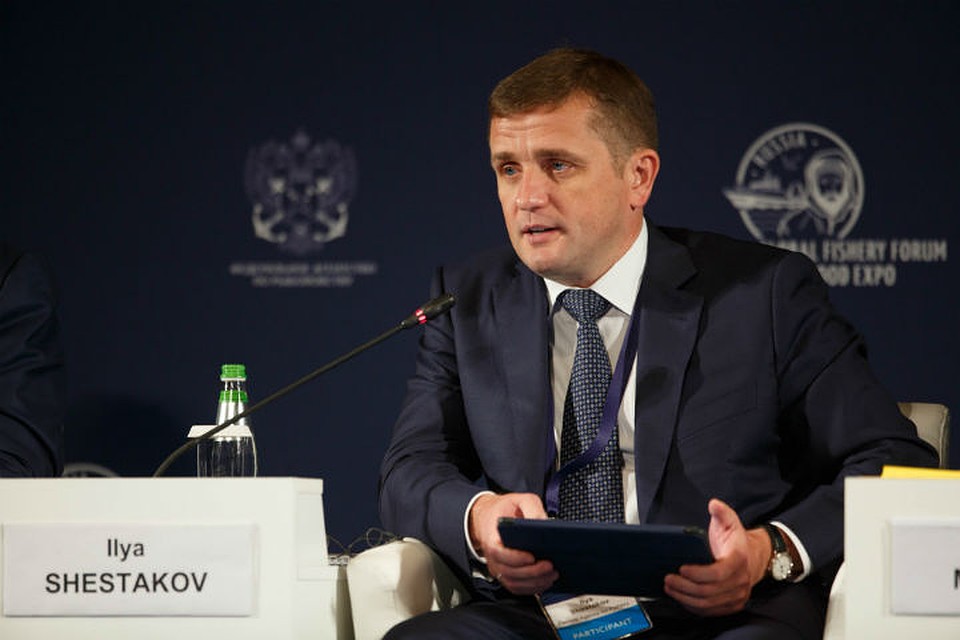 По словам Ильи Шестакова, работа над реализацией новой стратегии уже началась Фото: Александр ГЛУЗ