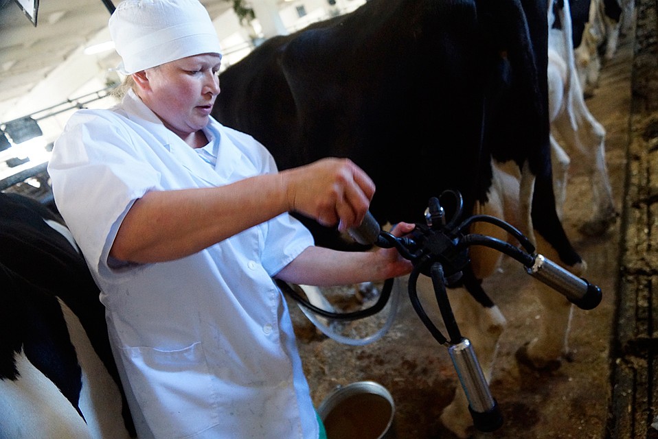По мнению крупнейших игроков на молочном рынке, 1 кг или литр продукции подорожает на 4,5 рубля или 10% Фото: Алексей БУЛАТОВ