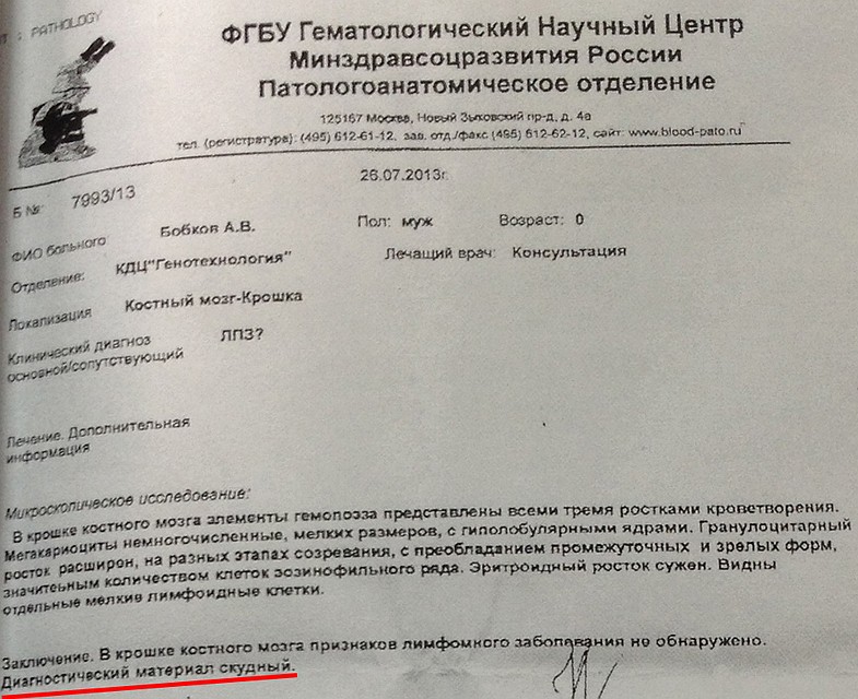 Это результаты анализа костного мозга, который взяла у Бобкова Мисюрина. Фото: Ульяна СКОЙБЕДА