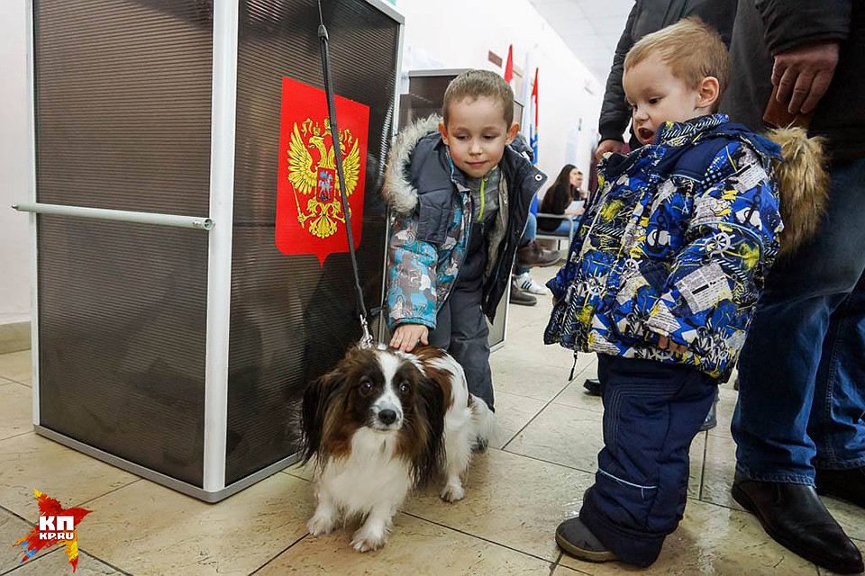 На выборы идут не только всей семьей, но и берут с собой четвероногих друзей Фото: Светлана МАКОВЕЕВА