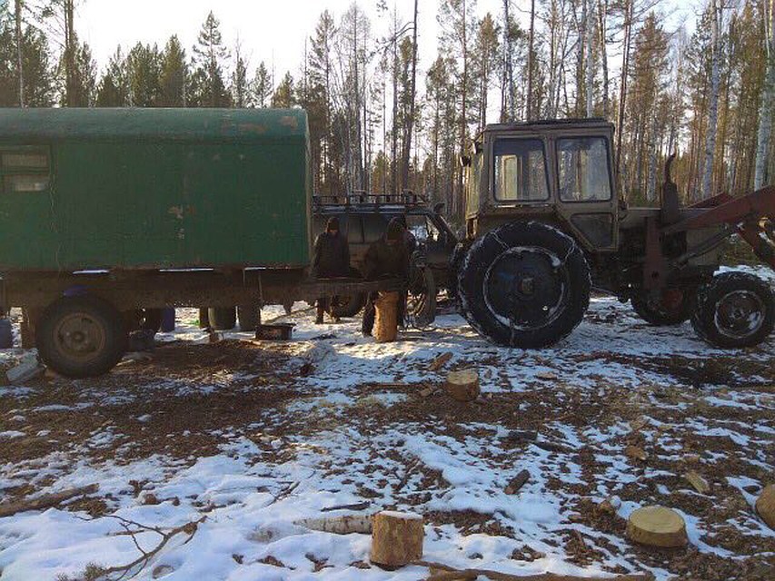 Черные лесорубы орудовали в Балаганском районе. Фото: ГУ МВД по Иркутской области