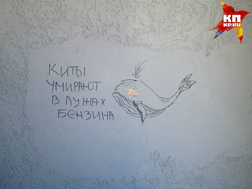 Такими рисунками исписан весь подъезд подозреваемого Фото: Павел КРАЙНОВ