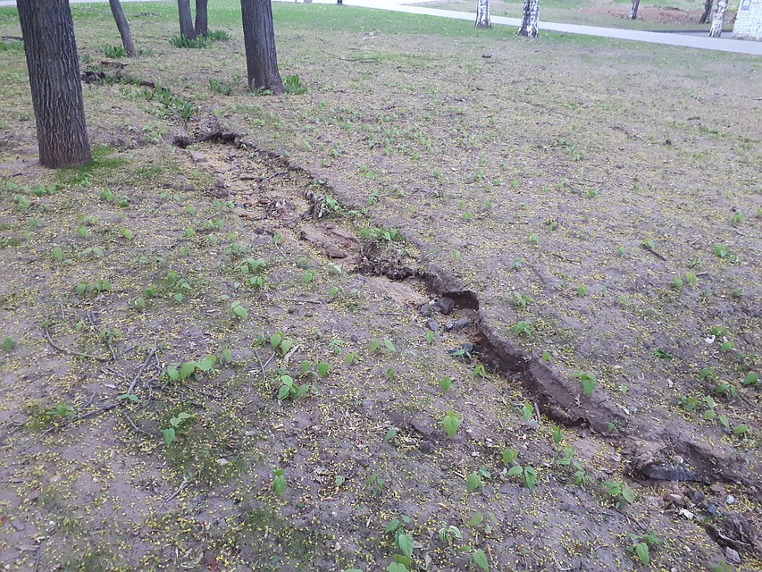 Весенние ручьи оставили промоины в почве Фото: Архив КП