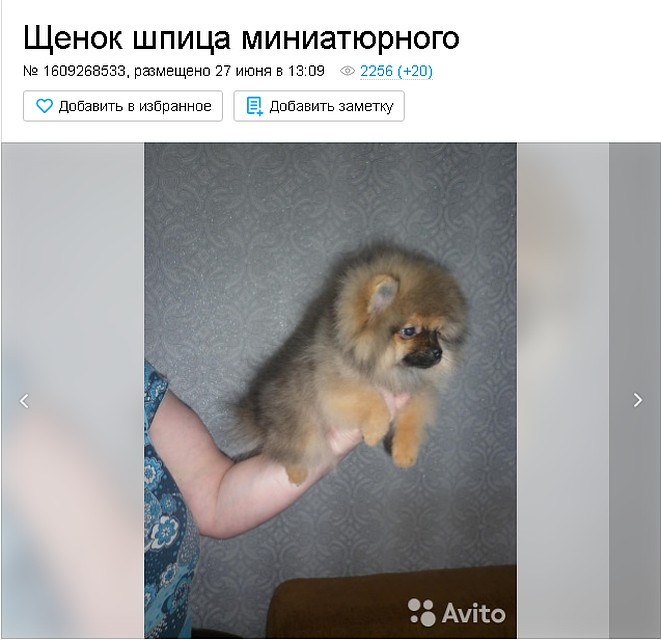 Скриншот с сайта Авито.ру