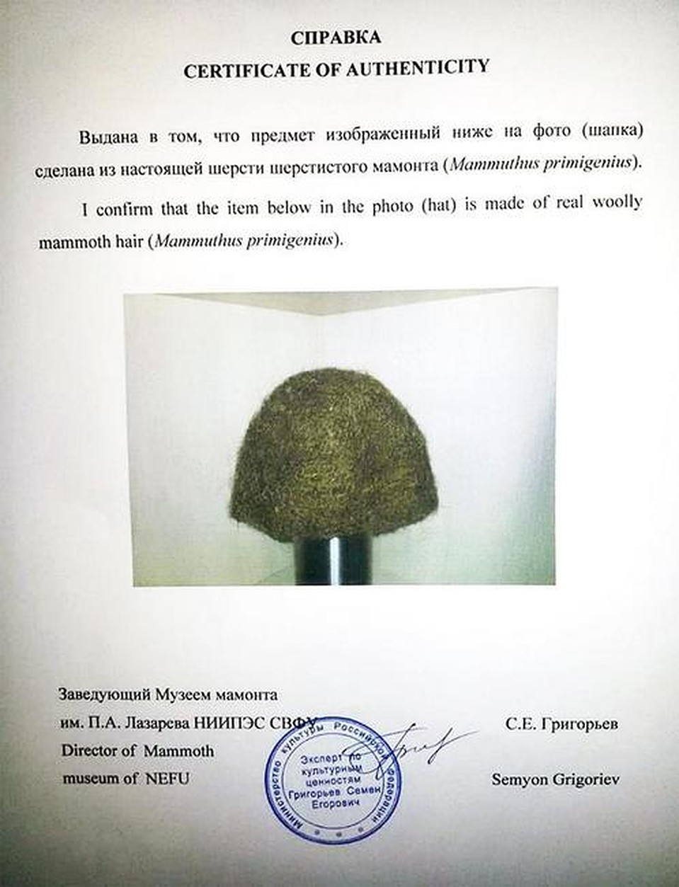 Если не верите - вот вам справка о подлинности. Фото: «Siberian Times»