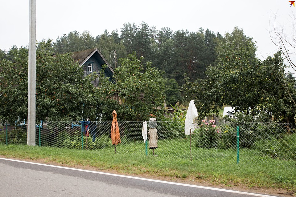 Пугало для оленей в огороде местного жителя. Фото: Павел МАРТИНЧИК