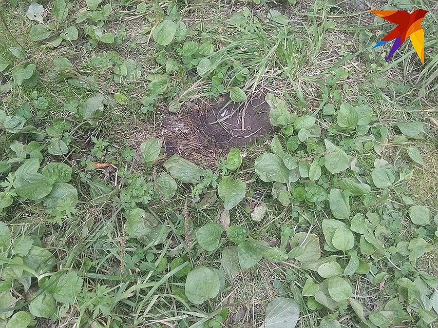 Школьники прыгали у Димы по голове. В гаражах осталась вмятина. Фото: Елена Благинина