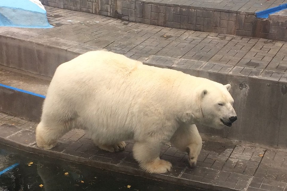 На фото у Герды видно животик. Фото: Татьяна СОЛОВОВА