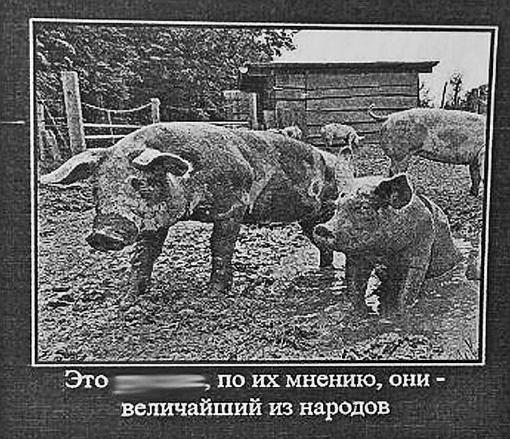 Фото: Из материалов дела