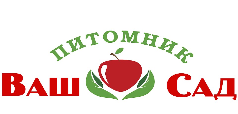 Фруктам каждый будет рад