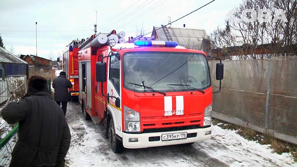 Фото: служба спасения "Сова"