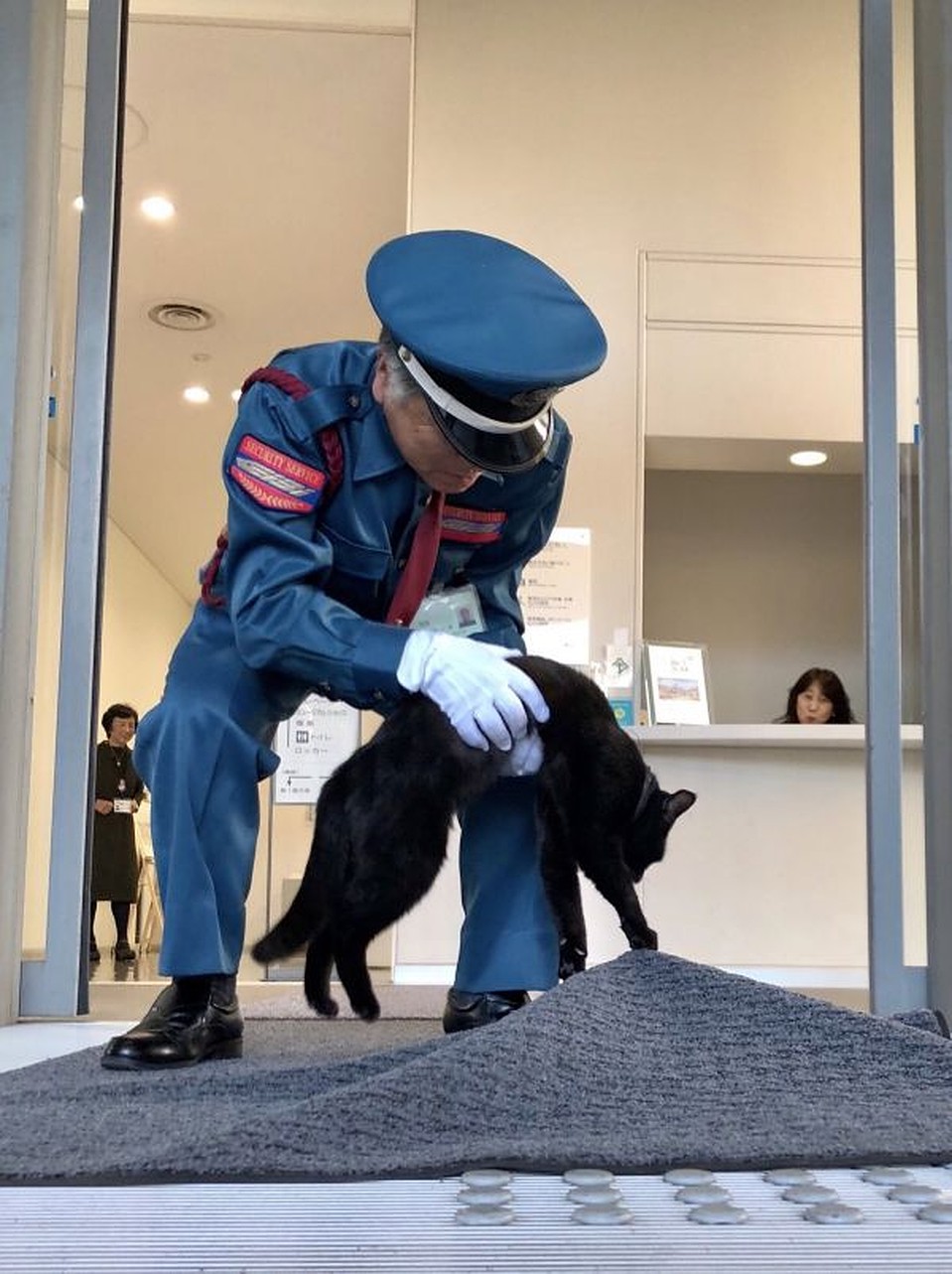 Охрана неумолима - четвероногим вход запрещён! Фото: twitter.com/bijutsu1/