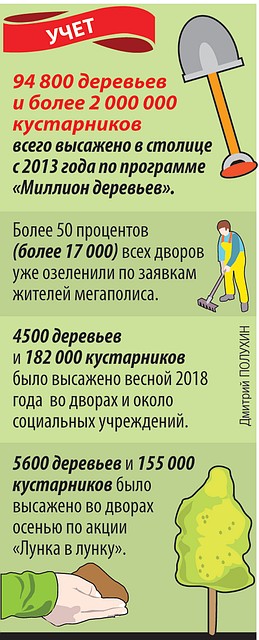 94800 деревьев и более 2000000 кустарников всего высажено в столице с 2013 года по программе "Миллион деревьев".