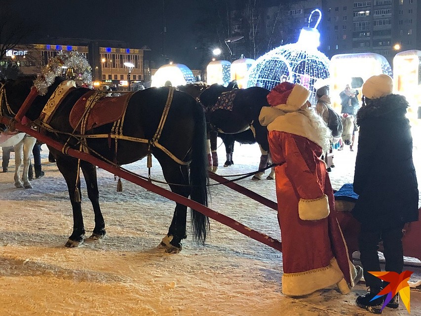 Дед Мороз запряг своих коней Фото: Алексей КОСЕНЧУК