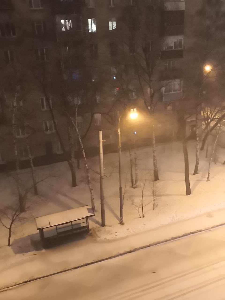 В Крещенскую ночь метель в Москве сопровождалась громом и молнией Фото: СОЦСЕТИ