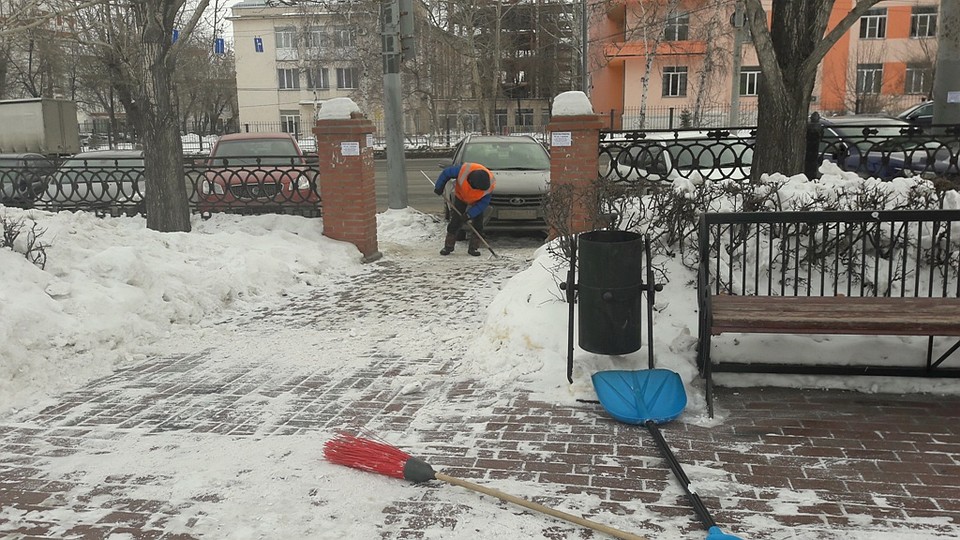 Алое поле чистят второй день. Фото: Инна КУМЕЙКО