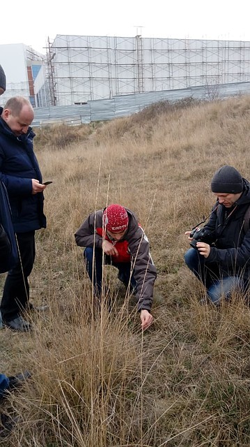 Экологи провели экспертизу и нашли краснокнижники ФОТО: Татьяна Трибрат