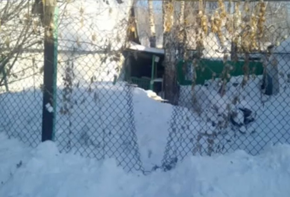 Та самая дырка в сетке-рабице, через которую вытащили пса. Фото: https://www.instagram.com/legalcompanyegorov/ Фото: СОЦСЕТИ