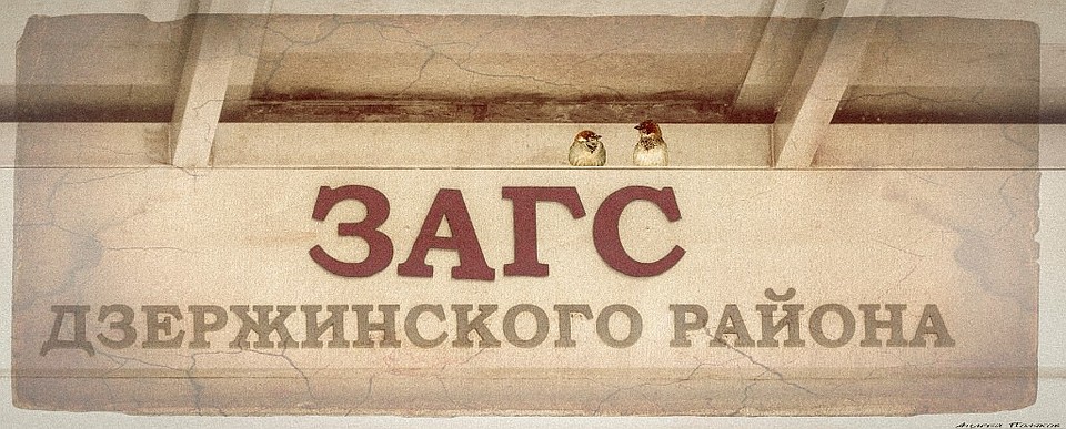 В загс очередь длинна, не растянулась б на года. Но воробей не улетит - он терпелив и там сидит... Фото: Андрей ПОЛЯКОВ