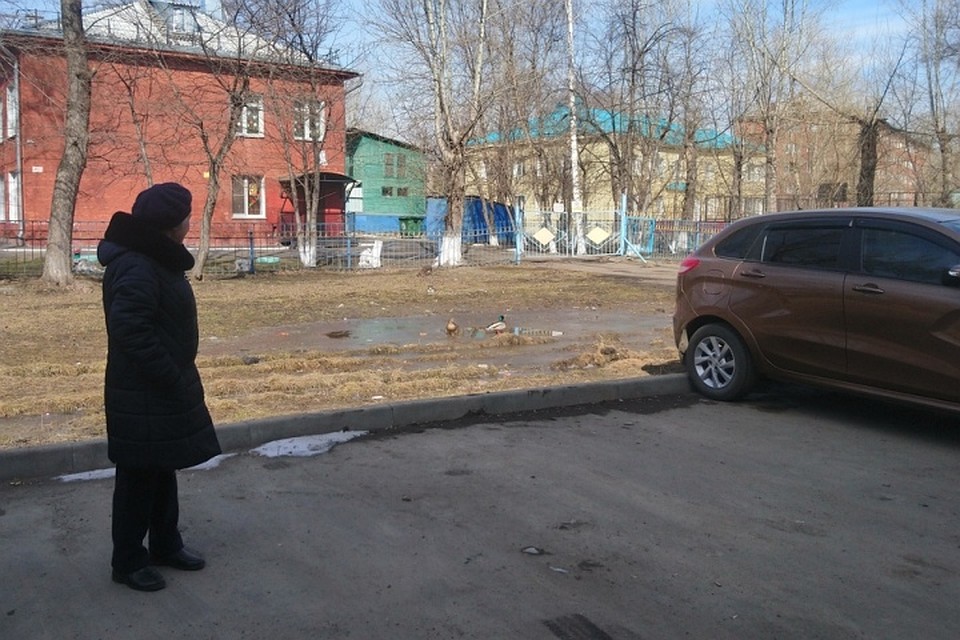 Уток не смущают ни прохожие, ни автомобили, ни даже кошка. Фото: Полина ПРИЛУЦКАЯ