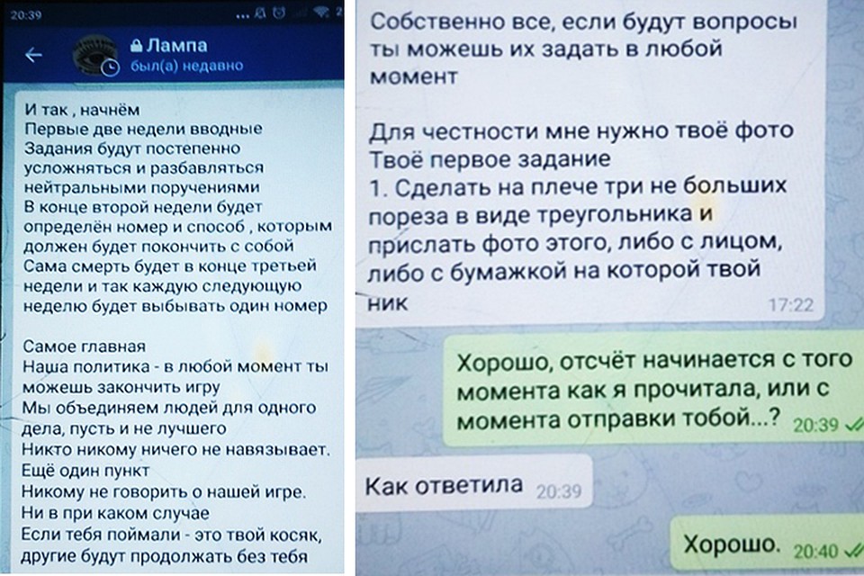 Вступительное сообщение для каждого участника выглядело примерно так Фото: Из личного архива
