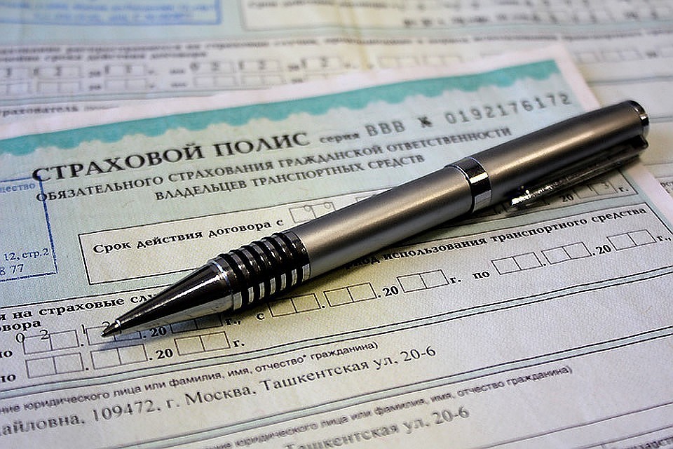 Защищенные бланки оказалось не такой уж большой проблемой для мошенников Фото: Андрей ГРЕЧАННИК