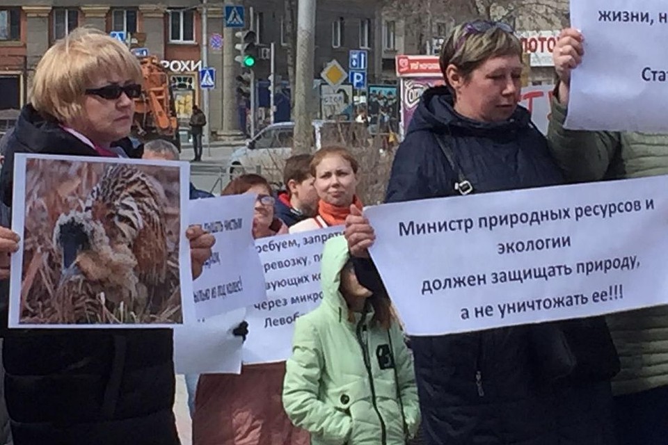 Сибиряки пытаются защитить болото и краснокнижных птиц, живущих на нем. Фото: "Гражданский патруль".