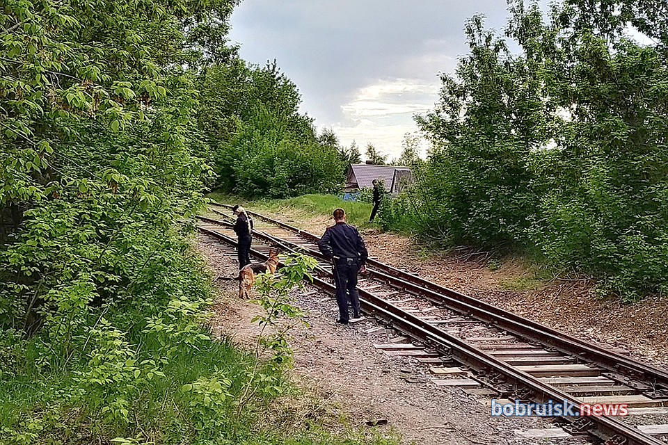 Пока что точно неизвестно, кто является хозяином собаки. Поиском занимаются следователи, милиционеры Фото: Коммерческий курьер