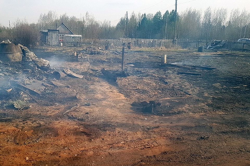 Фото: Павел КОЛОБОВ-КУЗЬМИН