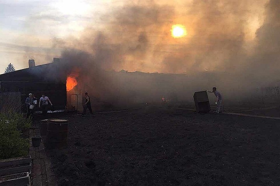 Два года назад из-за пожаров жилья лишились 339 человек Фото: соцсети