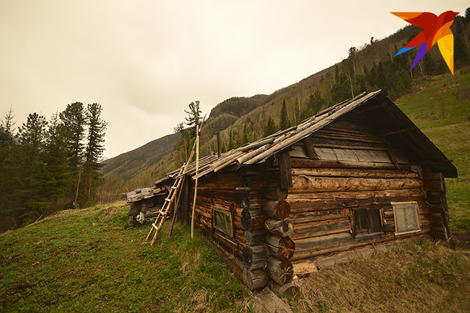 Замка Агафьи Лыковой. Фото: Даниил БАРАШКОВ