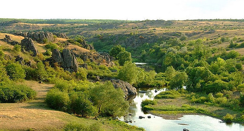 Савранский лес