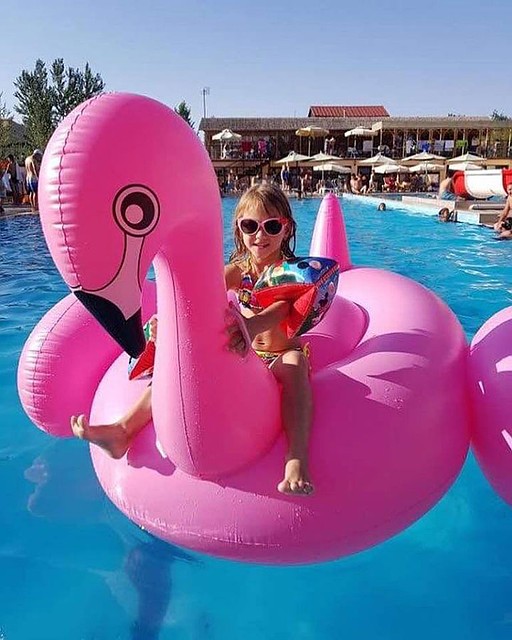 Отдых будет веселым и ярким. Фото: СОЦСЕТИ