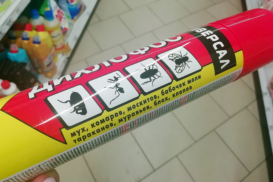 На время обработки все продукты, посуду, детские игрушки надо упаковать в полиэтиленовые мешки Фото: Анна СЕМИНА