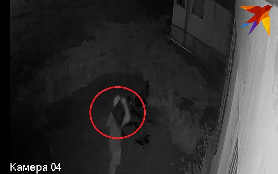 На записи видно, как хозяйка собаки уже после случившегося забирает свое животное и прикрывает лицо Фото: скриншот с видео