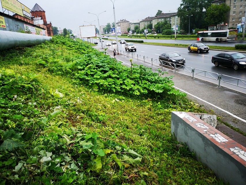 Фото: Подслушано Пермь