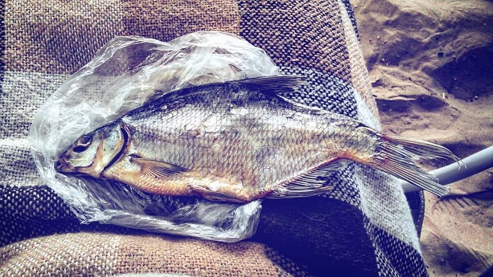 А в местных ресторанах можно откушать исключительно лосося заморского Фото: Наталья ФОМИНА