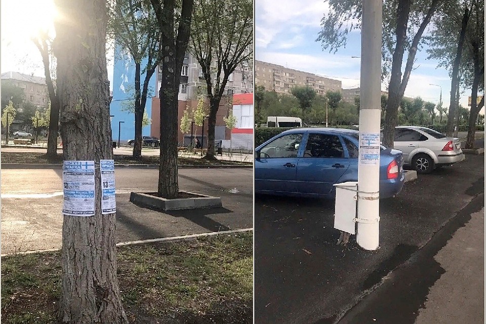 Листовки на днях появились на столбах и деревьях у входа в сквер. Фото: группа «Черное&Белое»/vk.com