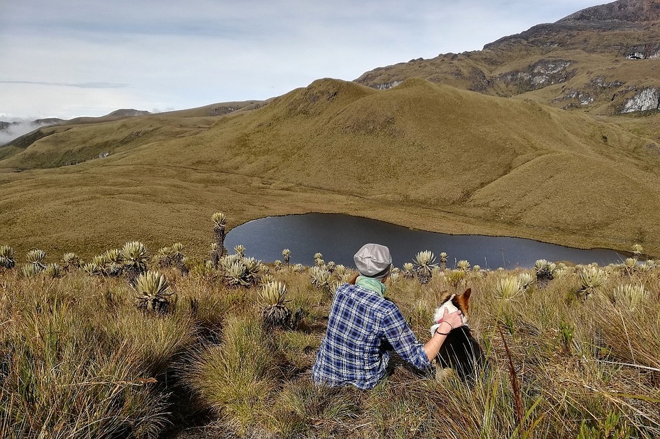Озеро Laguna del Encanto в парке Los Nevados
